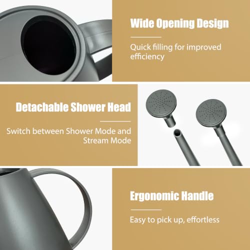 60 oz Watering Can, Small Watering Can for Indoor Plants with Long Spout - color: Gray