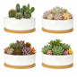 ZOUTOG 4 Pack 6" Ceramic Succulent Pots, White Planters with Drainage Tray - color: 4 Pack, size: 2.28 Inch High
