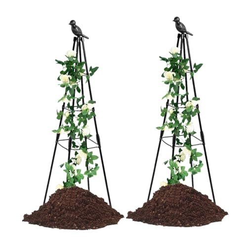 2 Pack Garden Trellis for Climbing Plants,63inch Tall Plants Trellis Support with Adjustable Stake Arms,Plastic Coated Rustproof Metal Pipe Supports for Outdoor Indoor, Potted Plants, Tomato, Rose - size: 2 Pack