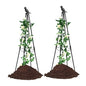 2 Pack Garden Trellis for Climbing Plants,63inch Tall Plants Trellis Support with Adjustable Stake Arms,Plastic Coated Rustproof Metal Pipe Supports for Outdoor Indoor, Potted Plants, Tomato, Rose - size: 2 Pack