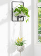 iDavosic.ly Wall Plant Picture Frame Holder with Macrame Hange, Black - color: Black with 1 Hanger, size: Rectangular