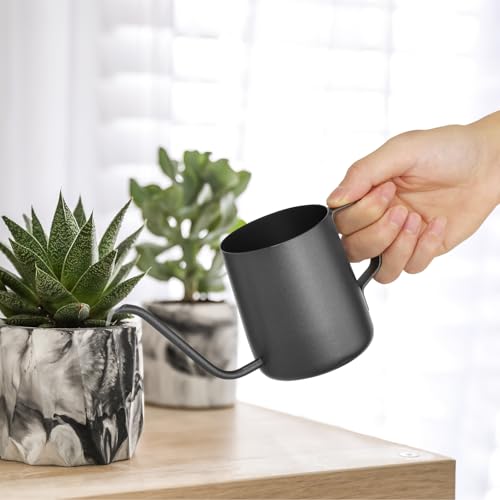 Small Watering Can Indoor Plants 12 OZ Mini Watering Can Stainless Steel - color: Black