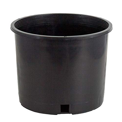 Pro Cal HGPK3PHD Premium Nursery Pot 3 Gal (10/pk)