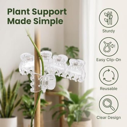 50Pcs Transparent Plant Orchid Clips Flowers Support Clear Fixer for Garden Vine Stem Plants Climbing Clasp Transparent 6 Claws Orchid Clips Plastic Butterfly Plant Support Structures