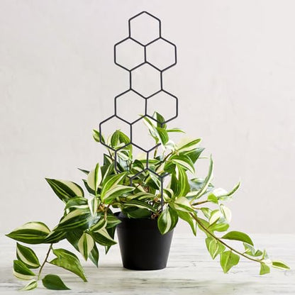 WellSign 15.94 inch Small Trellis for Potted Plants, Metal Plant Trellis