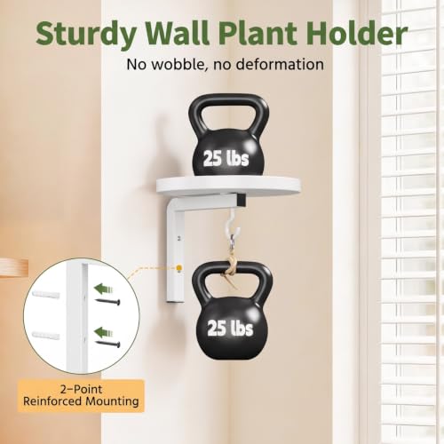 LASZOLA Plant Hanger Holder Shelf Wall Indoor with Lights, 2 Pcs White - color: White, size: 2