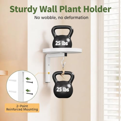 LASZOLA Plant Hanger Holder Shelf Wall Indoor with Lights, 2 Pcs White - color: White, size: 2