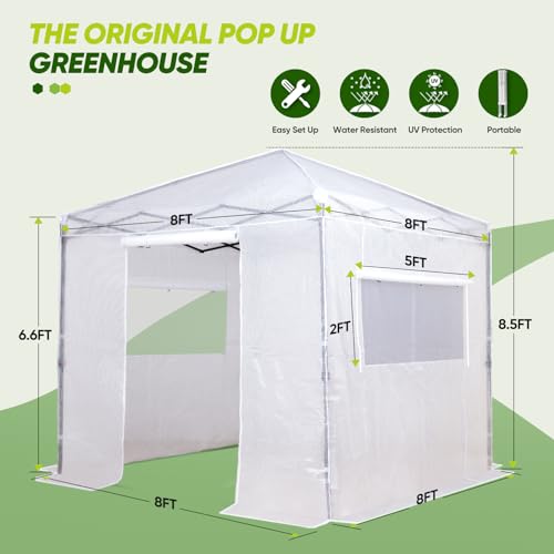 EAGLE PEAK 8x8 Easy Setup Pop Up Greenhouse, Clear/White - color: Clear/White, size: 8x8