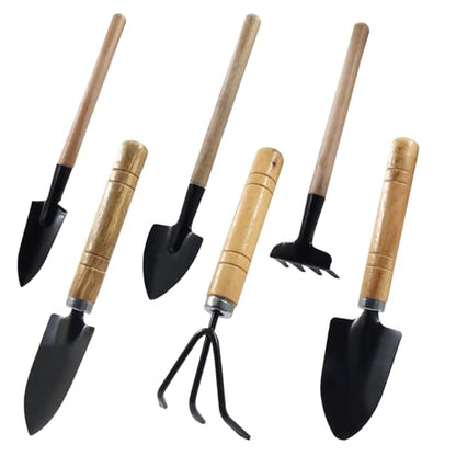 6 Pcs Mini Garden Tools Set, Iron Kit Including Hand Shovel, Transplant Shovel and Hand Rake for Succulent/Bonsai & Pot Plants - style: 6 Pcs
