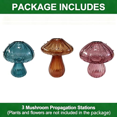 Glass Mushroom Vase Propagation Planter - Set of 3 Propagation Stations