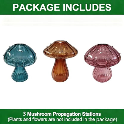 Glass Mushroom Vase Propagation Planter - Set of 3 Propagation Stations