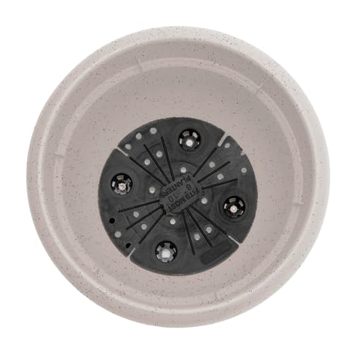 Bloem Ariana 16" Plastic Self-Watering Planter, Vanilla Bean, 2-Pack - color: Vanilla Bean, size: 16" (Pack of 2)