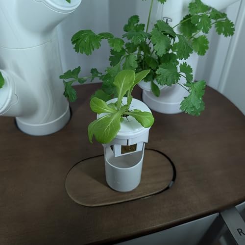 Grow Cubes for Hydroponic System/Compatible with Gardyn (5 Grow Cubes) - style: 5 Grow Cubes