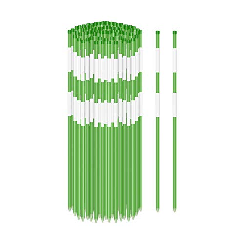 FiberMarker 20pack Driveway Markers for Snow Plowing Stakes, 48 Inch Hollow Snow Poles with 2pcs Reflective Tapes, Driveway Reflectors 5/16-Inch Diameter
