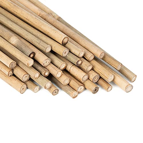 GAGINANG Natural Bamboo Garden Stakes, 20pcs Plant Sticks 16 inches - size: 16 inches