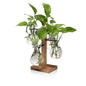 Plants Propagation Stations Bulb Glass Propagation Birthday Gift for Women - color: Gray