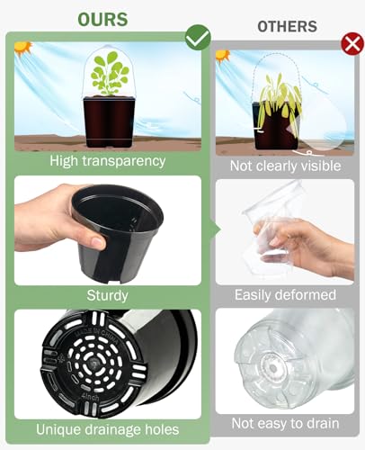 homenote 5 Inch Nursery Pots with Humidity Domes for Seed Starting (15 Pcs) - color: Black-with Lid, size: 5 Inch-15 Pack