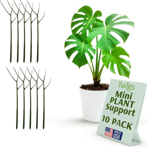 Twigs GA Mini Plant Support Stakes, Monstera Dark Green, 10-Pack, 12" L - color: Monstera (Dark Green)