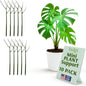Twigs GA Mini Plant Support Stakes, Monstera Dark Green, 10-Pack, 12" L - color: Monstera (Dark Green)