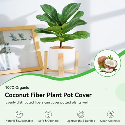 ZeeDix 11.8 Inch Coconut Fiber Tree Ring Mulch Mat, 3 Pack Tree Mulch Ring - color: 3 Pack, size: 11.8 Inch
