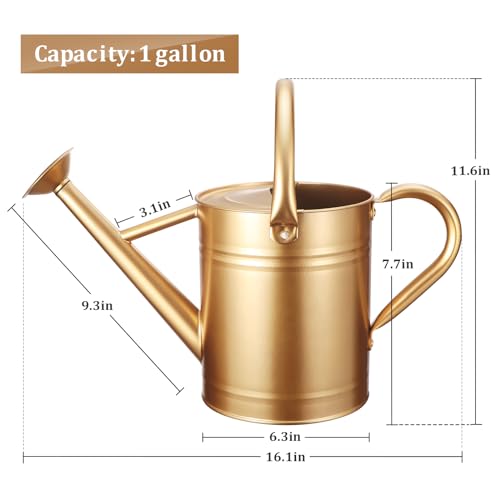 Gold Watering Can for Outdoor&Indoor Plants，1 Gallon - color: Gold