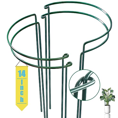 Snake Plant Support Stake - Half Round Peony Stake and Support, Heavy Duty Hydrangea Support Cage, Half Moon Houseplant Support Ring for Potted Indoor Plants (4 Pack, 14x8Inch) - size: 14x8in