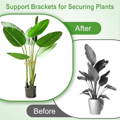 BADAO 6pcs Monstera Plant Support,Iron Stabilizer Grapple Holder for Plants