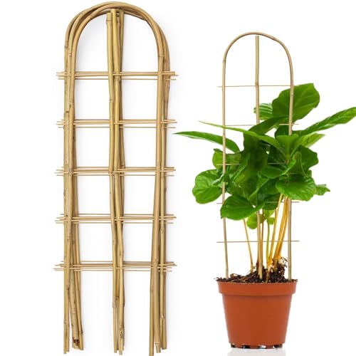 SWANGSA 6 Pack 3Ft U-Shape Bamboo Trellis for Climbing Plants, Bamboo Plant Trellis, Garden Trellis for Outdoor and Indoor Potted Plants, Vegetables, Cucumber, Tomato - size: 3 Feet