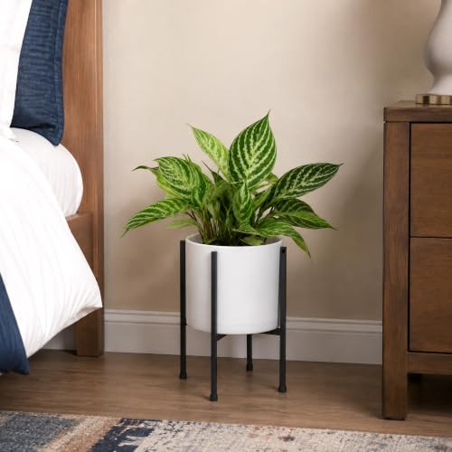 D'vine Dev Plastic Planter Pot with Metal Stand, White, 8 in, 55-D-A-1 - color: White, size: 8 Inch
