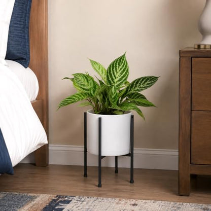 D'vine Dev Plastic Planter Pot with Metal Stand, White, 8 in, 55-D-A-1 - color: White, size: 8 Inch