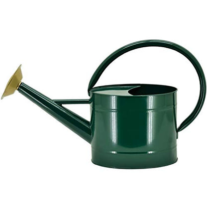 1.3 Gallon Jade Green Metal Watering Can, Removable Spout - color: Green, size: 1.3 Gallon