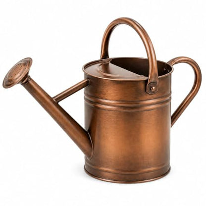 1 Gallon Metal Watering Can for Indoor Outdoor Plants, Retro Coppery - color: Retro Coppery