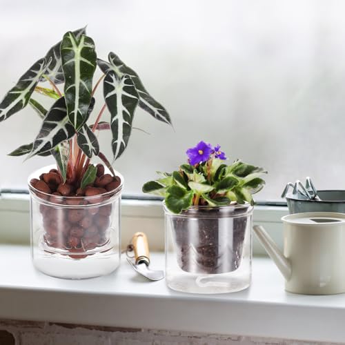 4 Inch Glass Plant Pot for Indoor Plants,Home Table Decoration