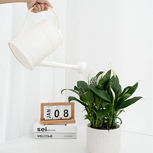 Plastic Indoor Watering Can with Sprinkler Head - 68 oz, 1/2 Gallon - color: White