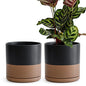 D'vine Dev 2-Pack Ceramic Pots with Saucers, Black/Tan, 8 in, 94-V-D-7 - color: Black/Speckled Tan, size: 8 Inch