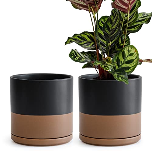 D'vine Dev 2-Pack Ceramic Pots with Saucers, Black/Tan, 8 in, 94-V-D-7 - color: Black/Speckled Tan, size: 8 Inch