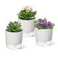 3 Pack Self Watering Pots Set, 4 Inch Self Watering Pots for Indoor Plants - color: Small, 3pcs Black Stripes