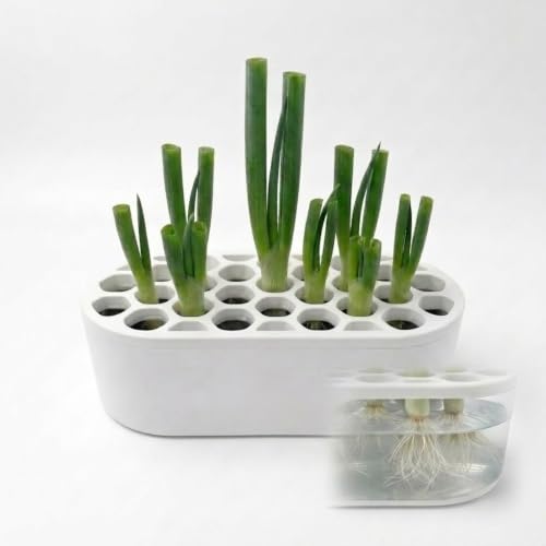 Mini Green Onion Regrower Kit, Hydroponic Scallion Planter Box with Hexagonal Honeycomb Lid, Soil-Free Indoor Herb Water Propagation Tub for Kitchen Countertop, White - color: White