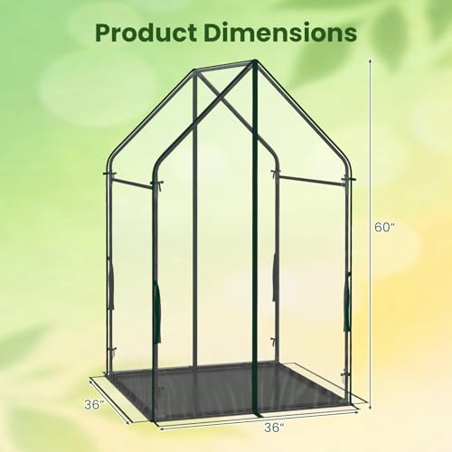 GIANTEX Mini Greenhouse, Outdoor Portable Green House, 36"x36"x60" - size: 36"x36"x60"