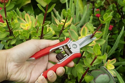 Corona Tools FS43623 Yard Essentials Mini Floral Snips, Red - size: Floral Snips