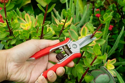 Corona Tools FS43623 Yard Essentials Mini Floral Snips, Red - size: Floral Snips