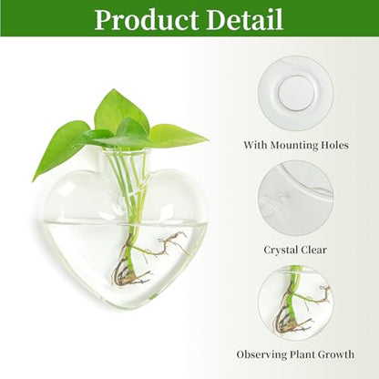 XXXFLOWER Propagation Wall Hanging Vases Planters, 2 Pack Love Water Vases - size: 2 Love Wall Hanging