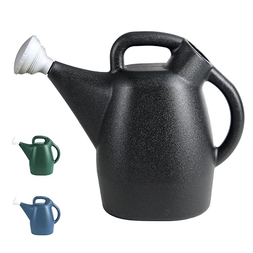 CHAPIN 47998 2-Gallon Watering Can for Indoor & Outdoor Plants - style: 2 Gallons, Black