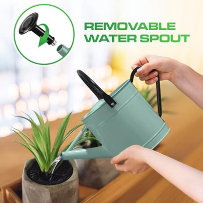 Plexon Metal Watering Can Outdoor 1 Gallon, Flower Plant Gardening Garden Large Watering Can Pot, Black Galvanized Steel Handles and Removable Spray Spout, Aqua Mist Blue - color: Aqua Mist Blue