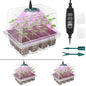 Seed Starter Trays with Grow Light Kit, 2 Pack Plant Greenhouse Propagator - size: 2-Pack (Transparent)