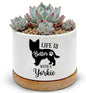 Yorkie Ceramic Pots for Dog Lover,Flower Pots for Indoor Plants