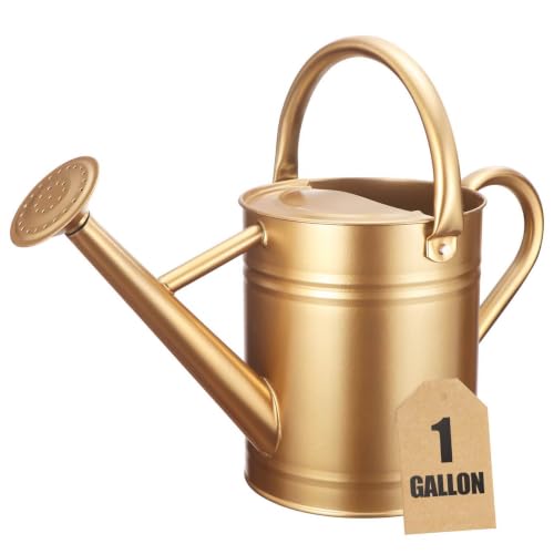Gold Watering Can for Outdoor&Indoor Plants，1 Gallon - color: Gold