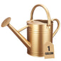Gold Watering Can for Outdoor&Indoor Plants，1 Gallon - color: Gold