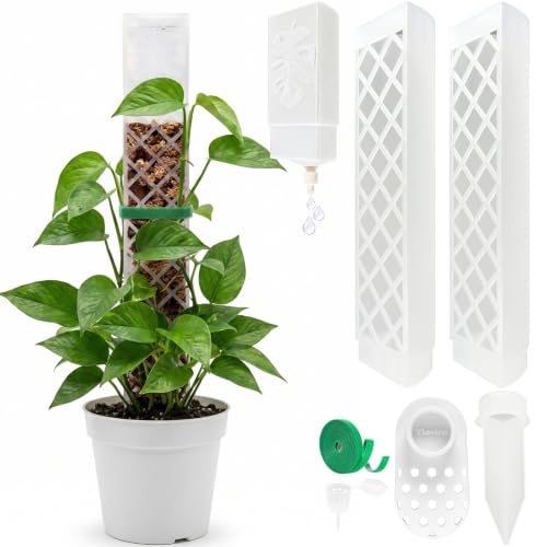 2 Pcs 9 Inch D Shaped Moss Pole with Watering Dripper, Plastic Moss Poles for Climbing Plants, Sturdy Monstera Plant Support, Self Watering Moss Pole Kit for Plants Indoor (1Pack 2Pcs-Translucent) - size: 1Pack 2Pcs-Translucent
