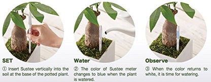 IPPINKA Sustee Aquameter, Plant Moisture Sensor Set of 2 (Green, Medium)